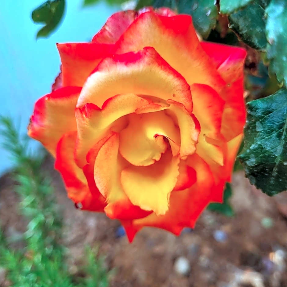 Infinity Wellness Boutique Hotel