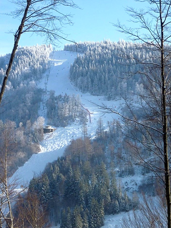 Akzent Hotel Lawine