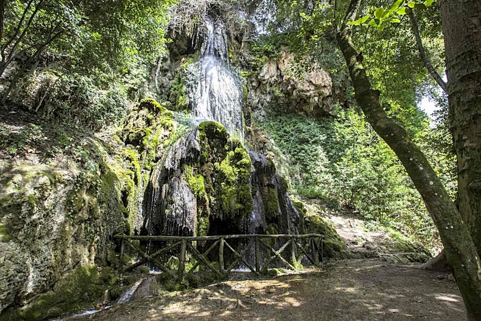 OASI FRANCESCANA SANT'IGNAZIO DA LACONI