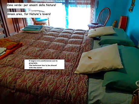 Room country-lake
