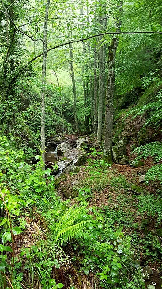 Hotel del Lago Ampollino