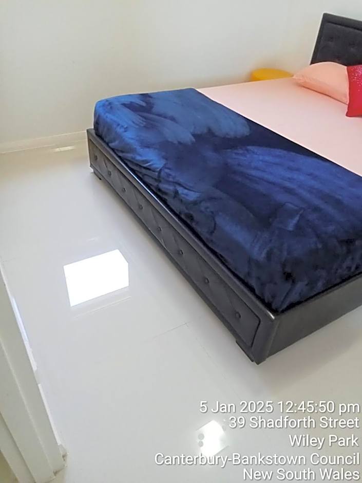 Peaceful Retreat in Prime Sydney