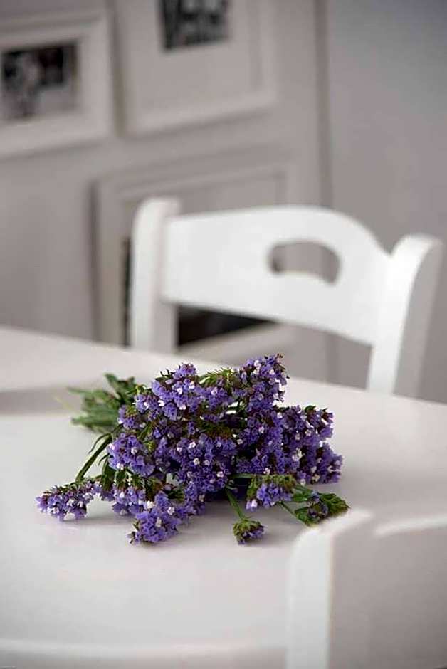 Fisilanis Beachfront Hotel