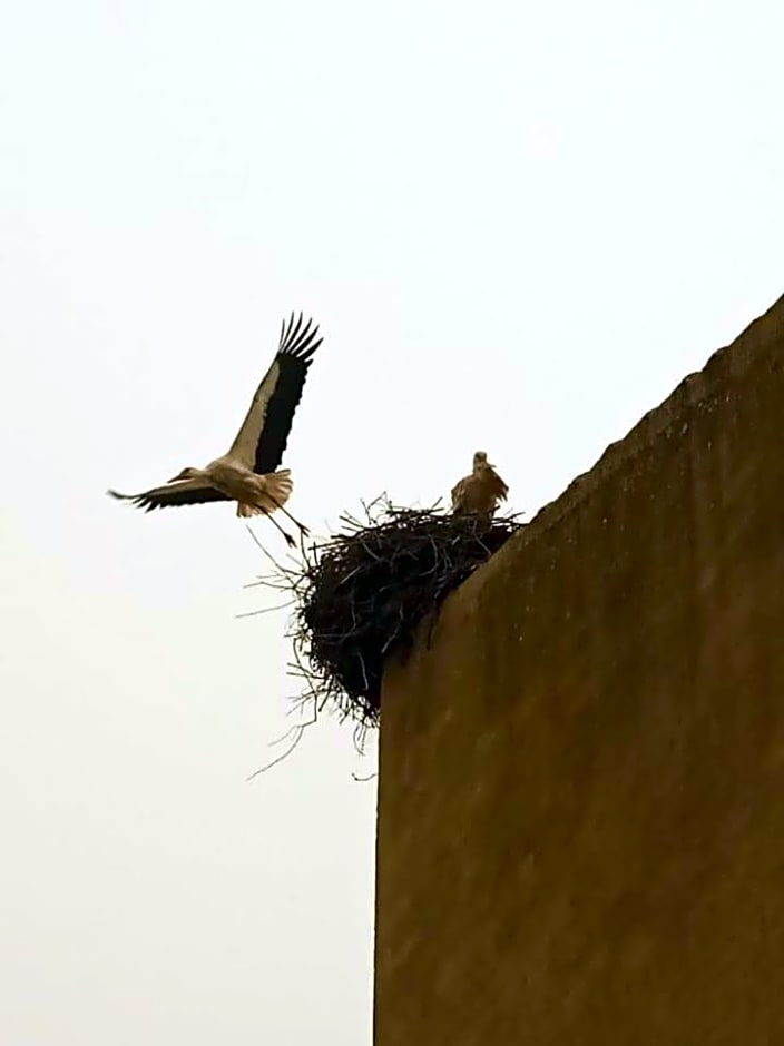 La Posada del Tiétar