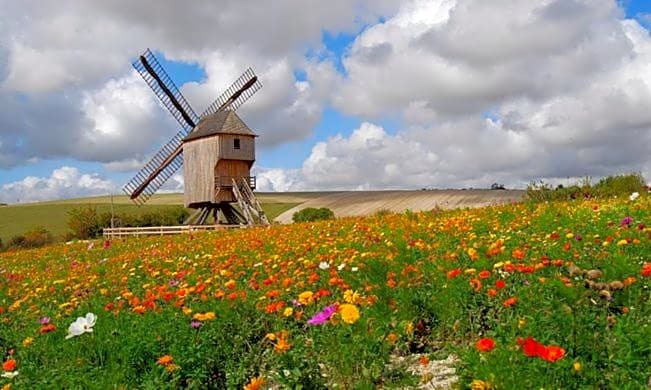 Une Parenthèse en Champagne - Chambres d'hôtes