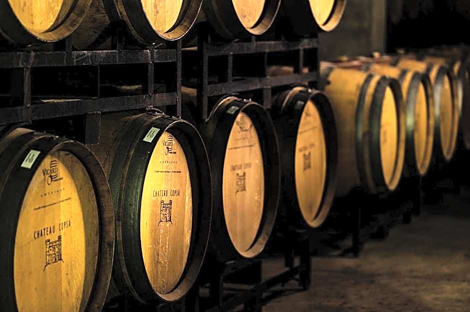 Chateau Copsa Complex