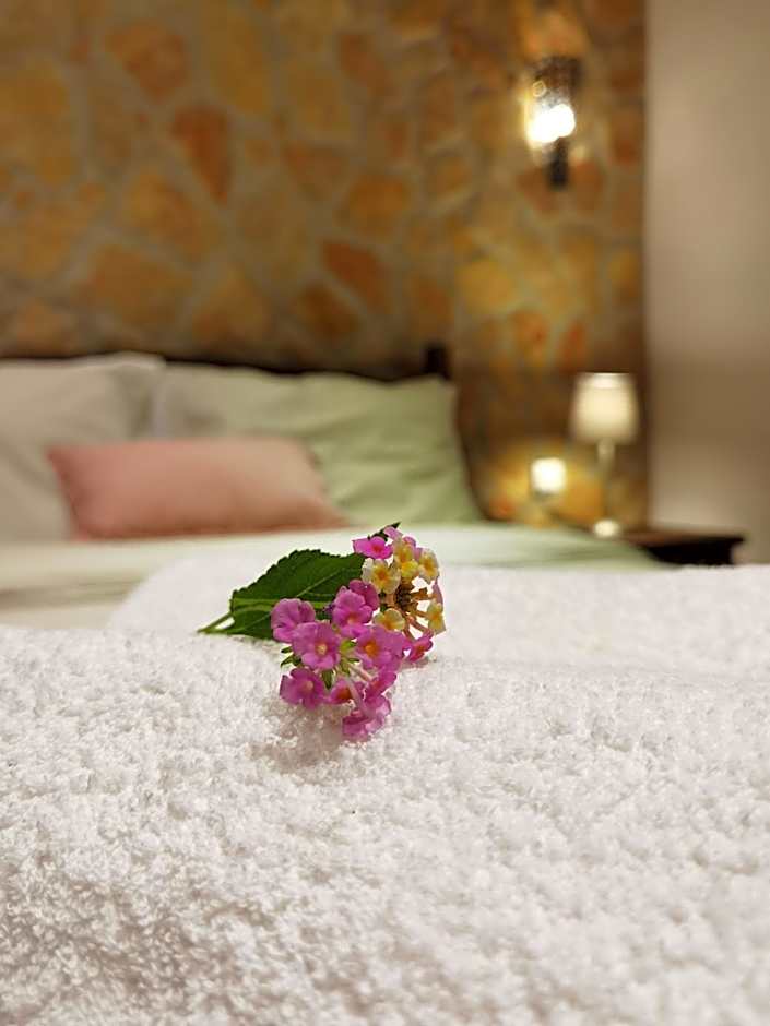 Quinta do Vale Encantado "the Valley" - Santarém - Portugal