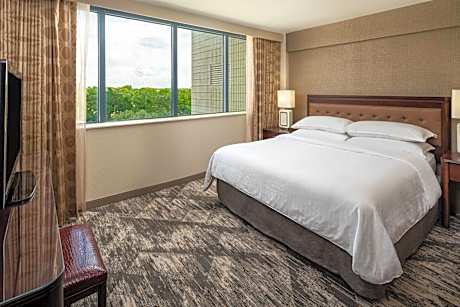 Club level, Suite, 1 King, Sofa bed, Central