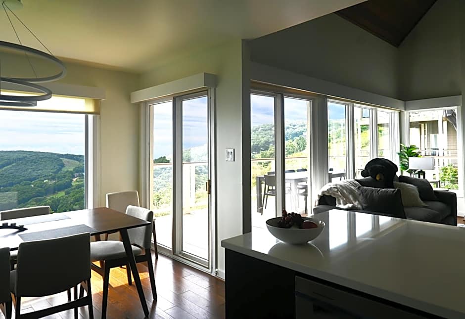 Panoramic Ski Slope Views, private sauna, dogs ok