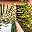 Riad Elias & Spa