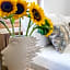 Aelios Design Hotel