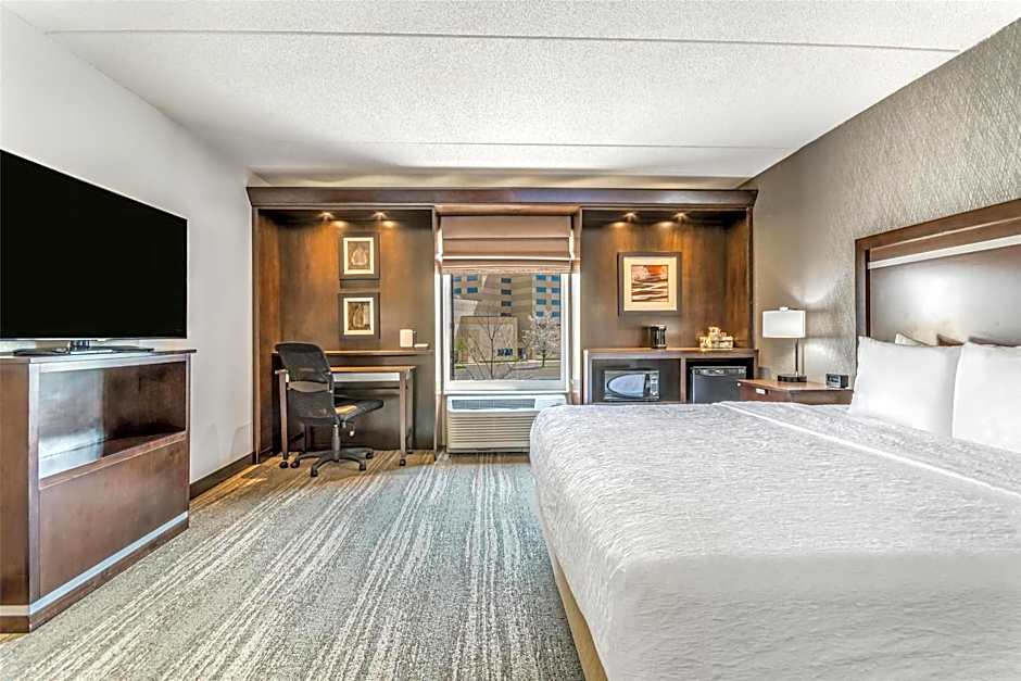 Hampton Inn By Hilton And Suites Detroit/Airport-Romulus