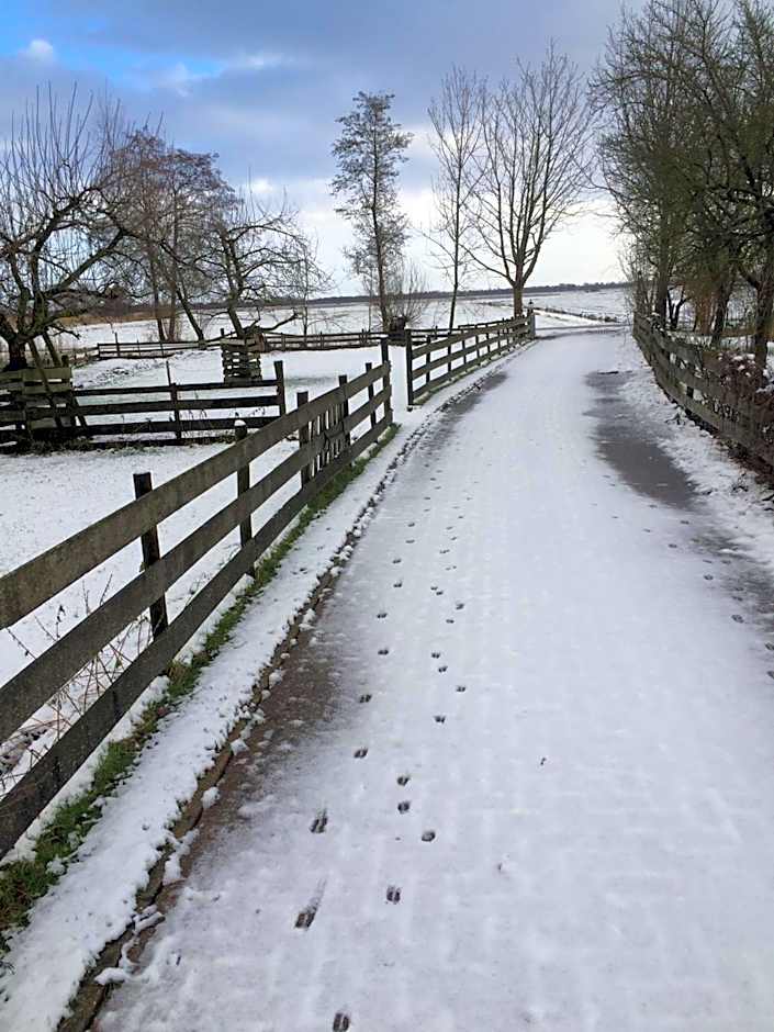 The Black Sheep Hostel