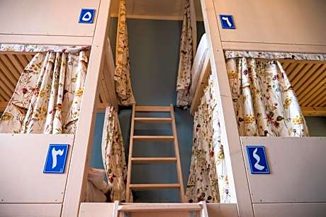 Bunk Bed in Mixed Dormitory Room