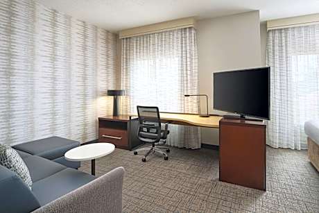 Studio, 1 King Bed with Sofa bed (Mobility Accessible, Tub) (1 King Bed and 1 Double Sofa Bed)