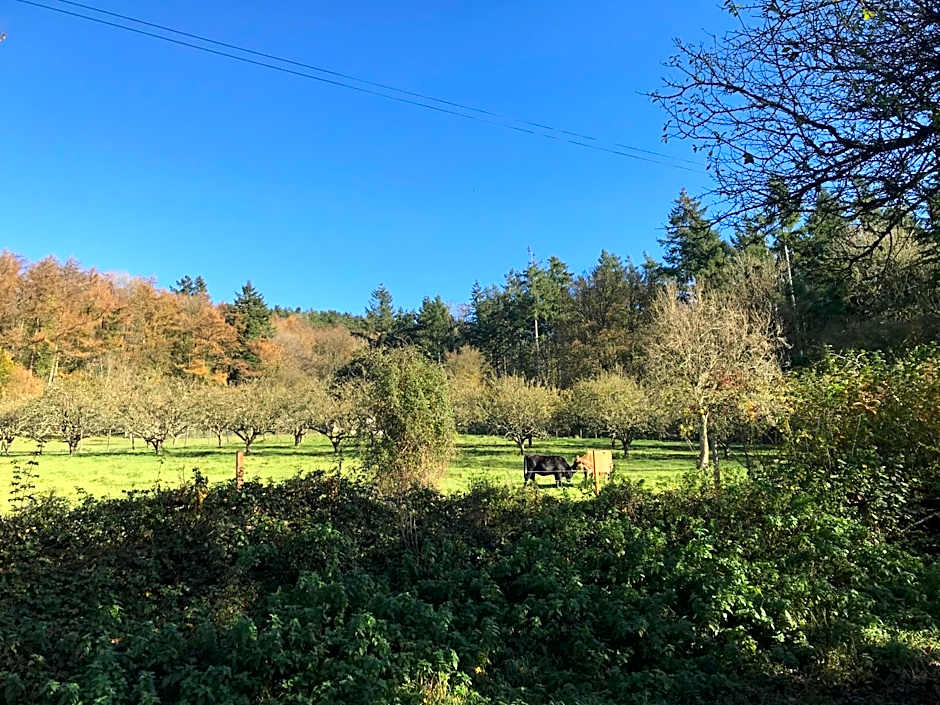 Shepherds Huts Ham Hill, 2 double beds, Bathroom, Lounge, Diner, Kitchen, LOVE dogs & Cats Looking out to lake and by Ham Hill Country Park plus parking for large vehicles available also great deals on workers long term This is the place to relax and BBQ