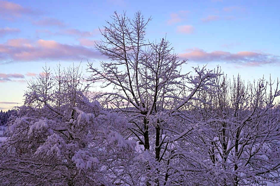 Ferienwohnung Ausblick