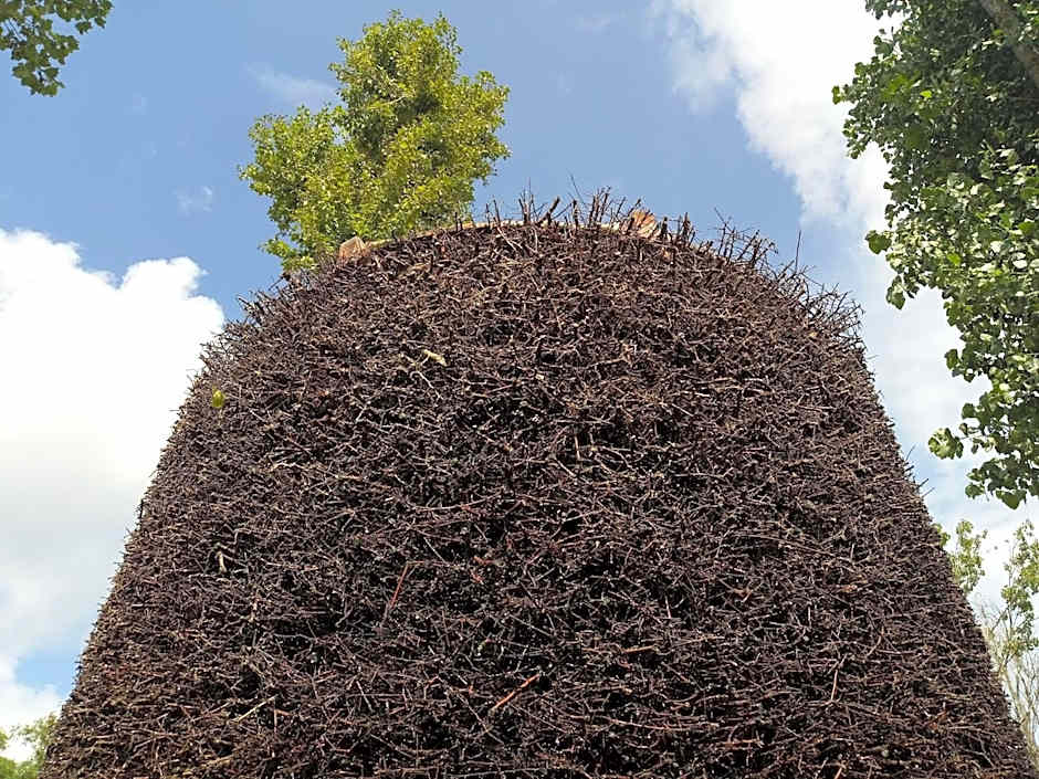 Sopot 34 przy plaży