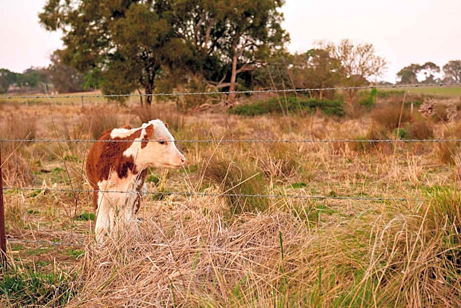 Tenterfield Lodge Caravan Park