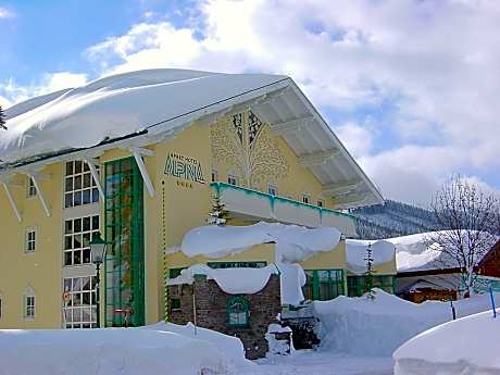 Aparthotel Alpina