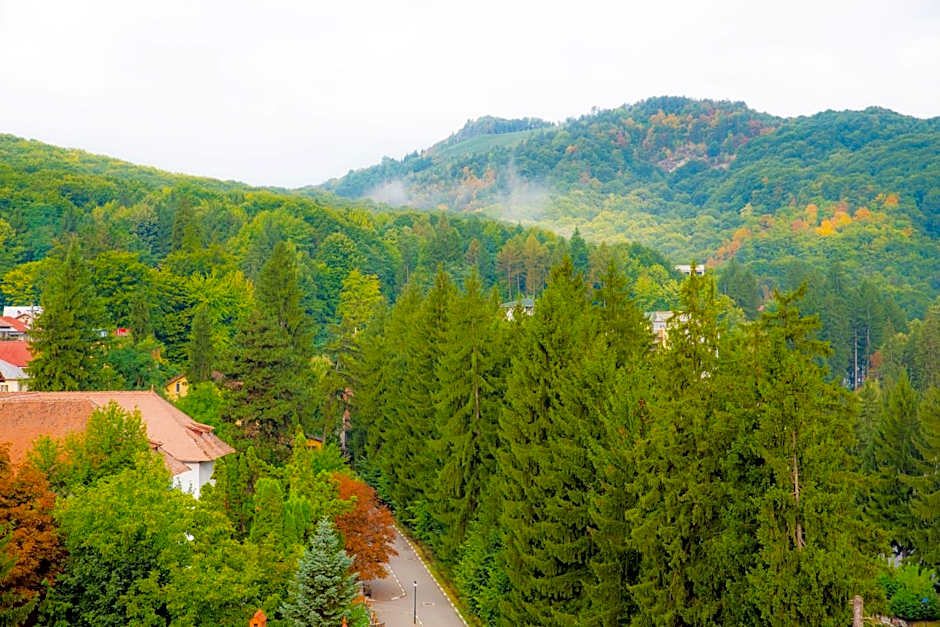 Hotel Olanesti & Spa Medical