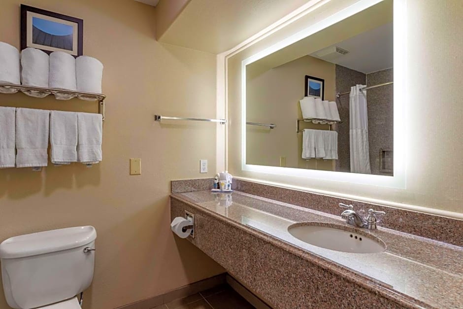 Comfort Suites Near Texas Medical Center - NRG Stadium