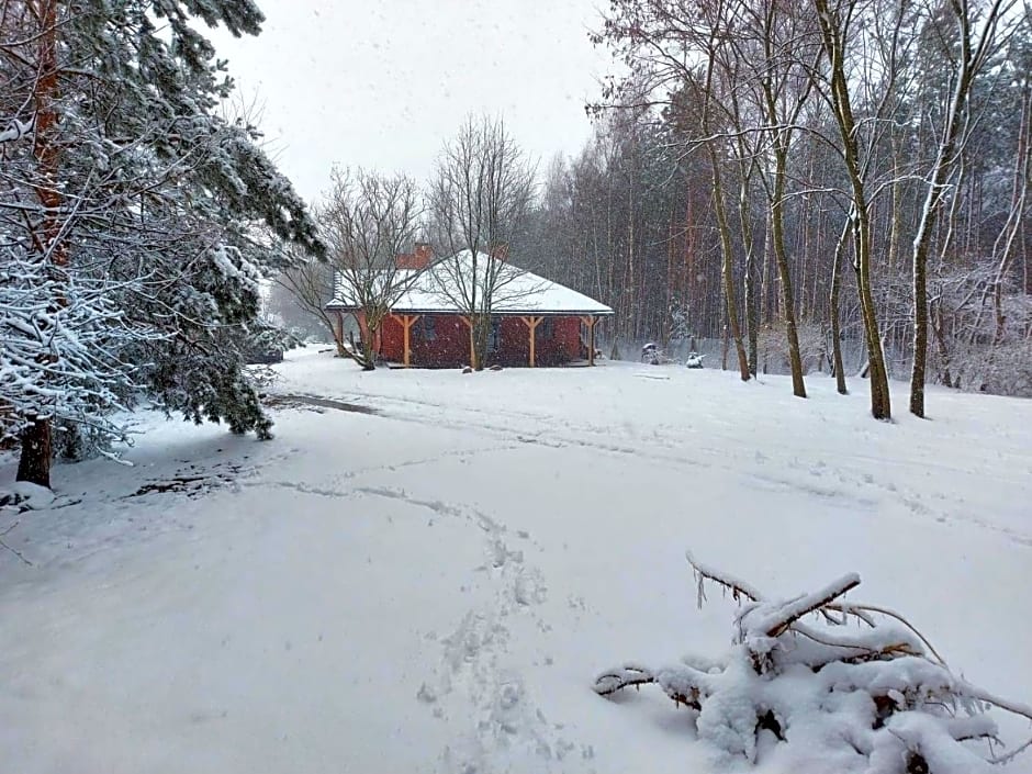 Dom imprezowy z noclegami Dziecinów