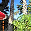 Tradewinds Airport Hotel