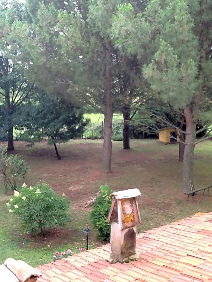 Campo alle Monache
