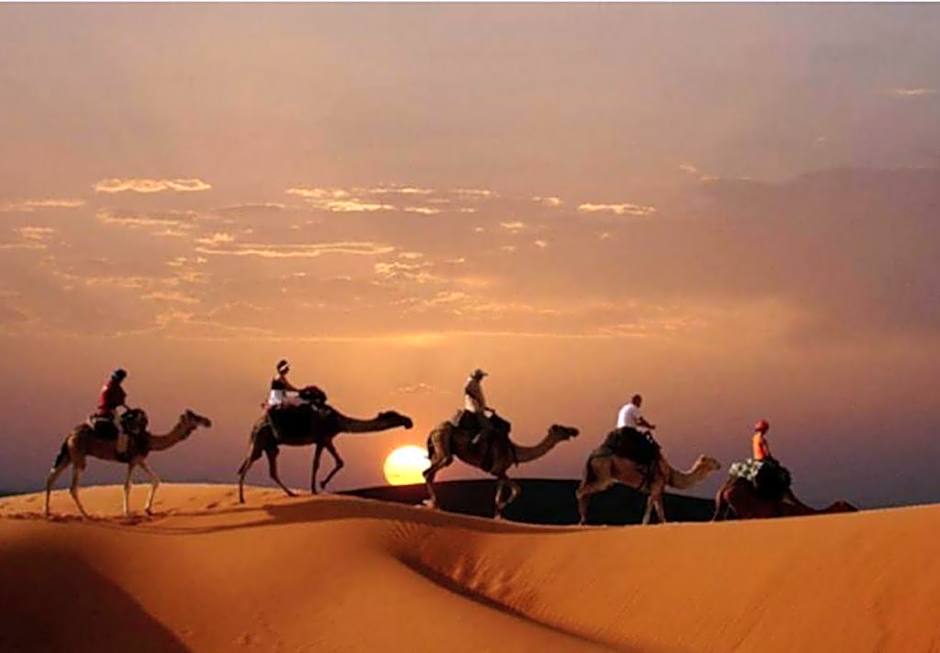 Camp Sahara Majestic