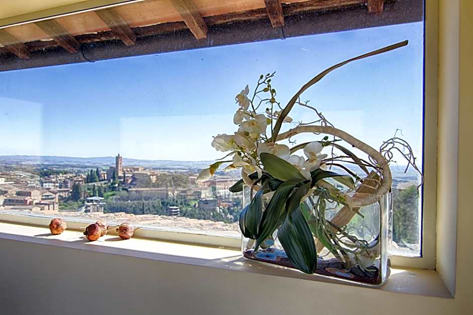 Rinidia - Siena Centro