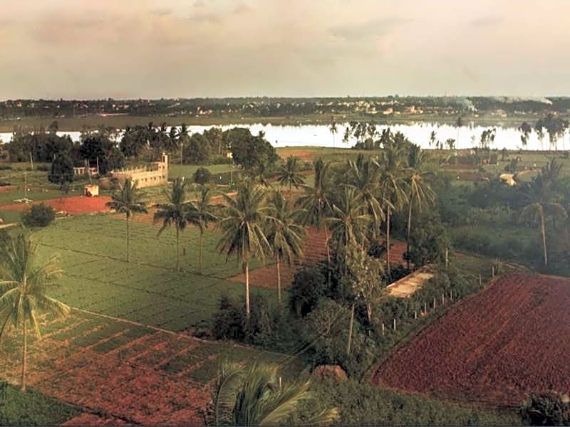 Holiday Inn Hotel & Suites Bengaluru Whitefield