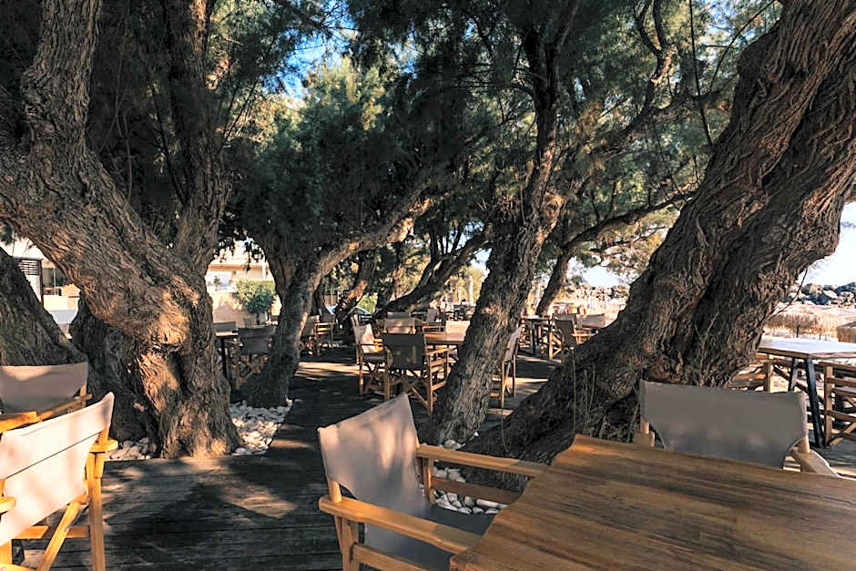 Aphrodite Beach