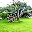 Kameelboom Lodge