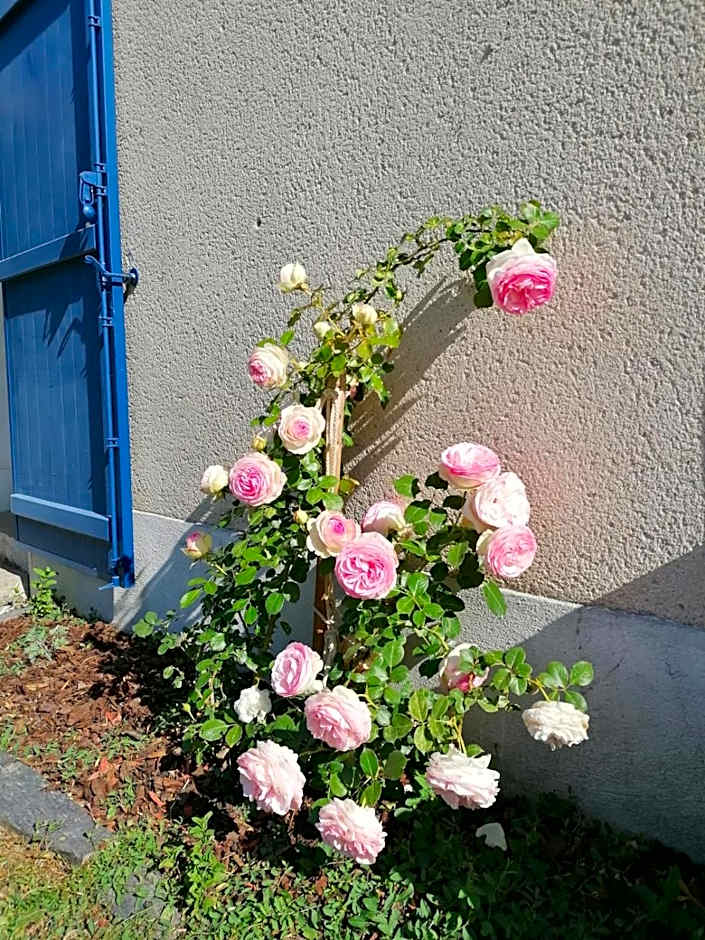 La Petite Boire - Chambres d'hôtes près d'Angers