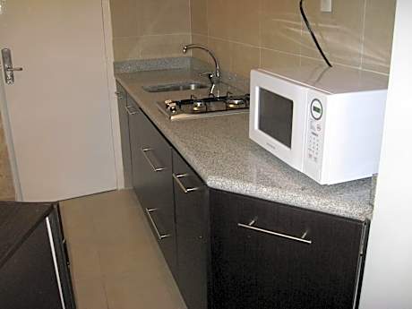 Deluxe One-Bedroom Apartment