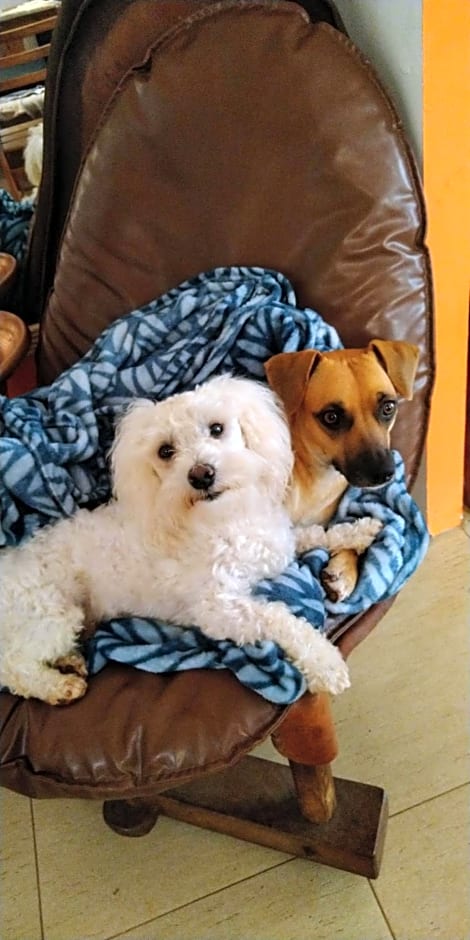 Café com Arte Pousada Ecológica