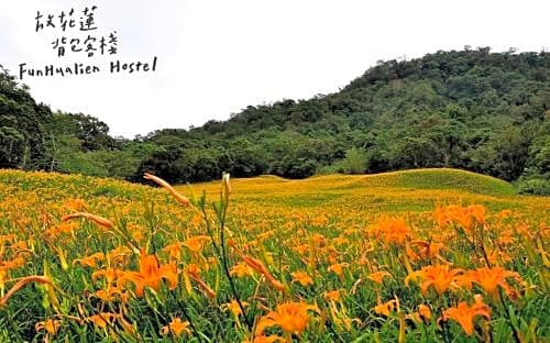 Fun Hualien Hostel