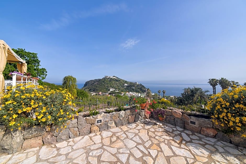 Belgodere di Mezzavia Apartments