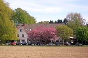 Hotel Waldesruh
