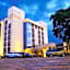 The White Rhino Hotel