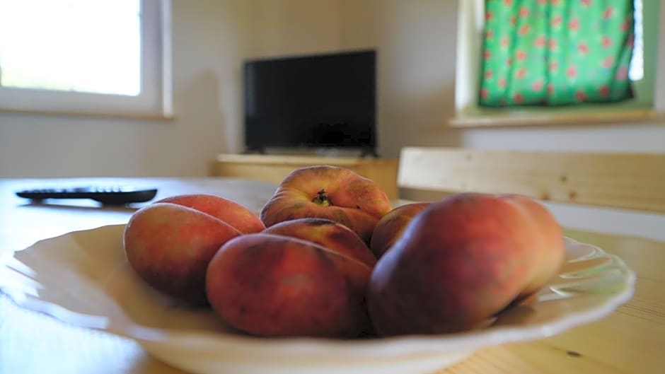 Chatki Niwki u Zbója