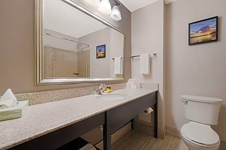 Suite-1 Queen Bed Non-Smoking Whirlpool Microwave And Refrigerator Wi-Fi Full Breakfast