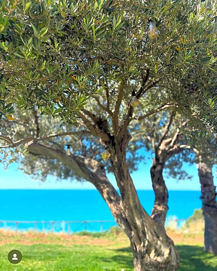 Case Vacanze Bellavista