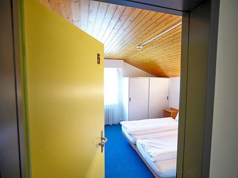 Erlebnisland Grizzlybär