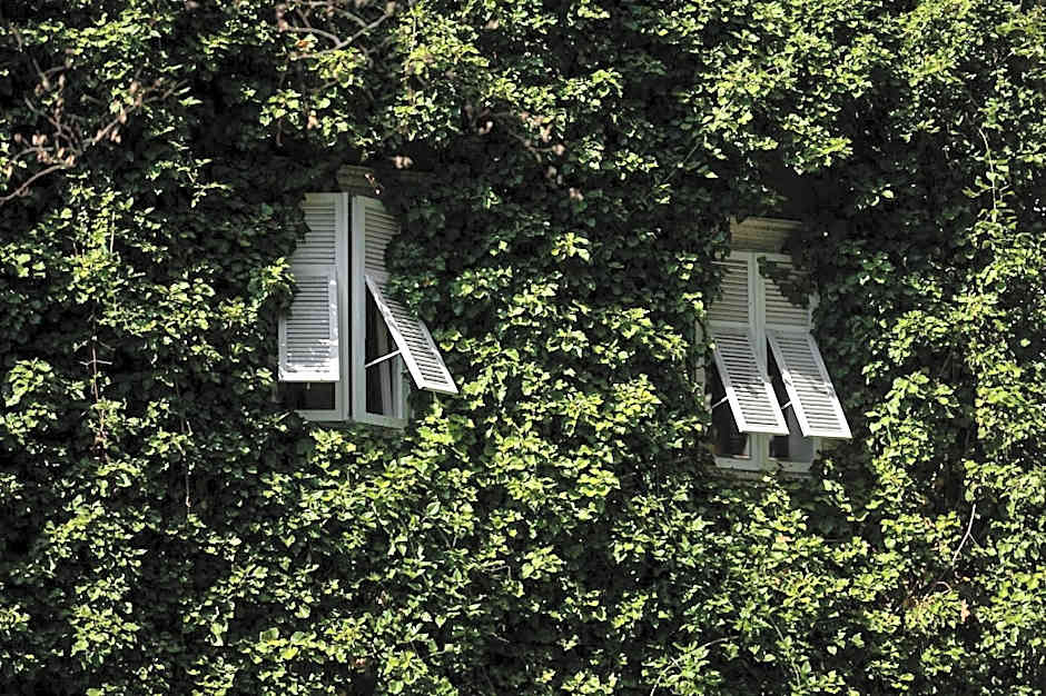 Parkhotel Mondschein