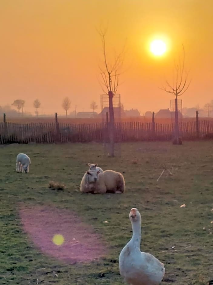 B&B Clogher Farm