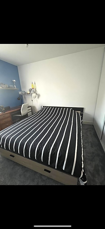 Lily's rooms