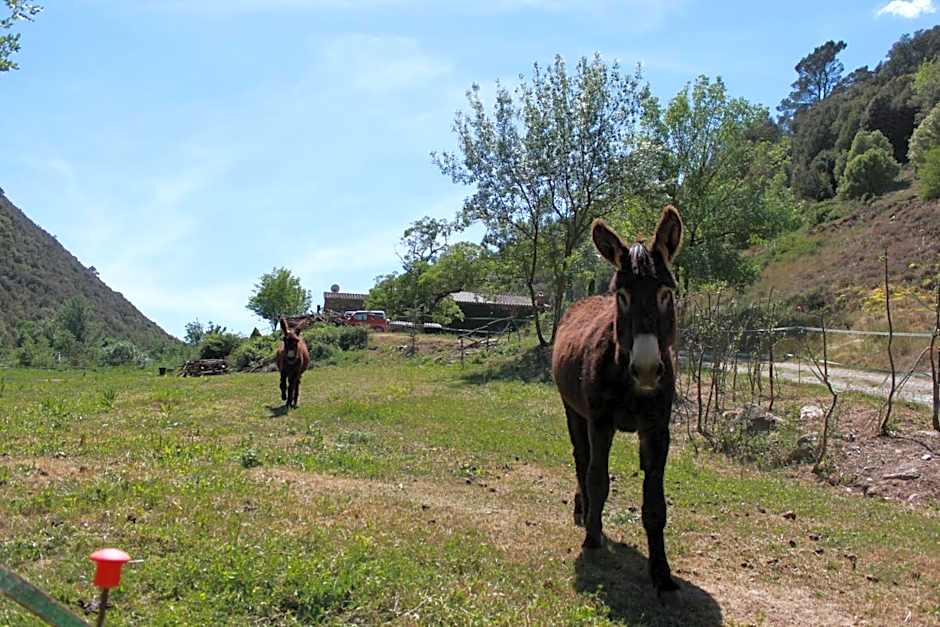 Bed and Breakfast Casanova de Sant Miquel