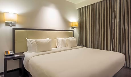 1 Queen Bed Guestroom